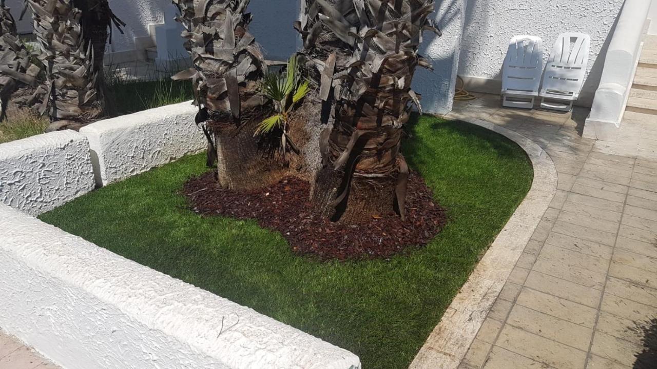 Oleandri - Baia Verde